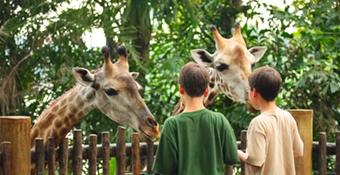 Zoológicos
